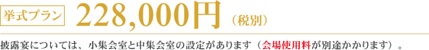 大阪市中央公会堂ウェディング:228000円